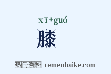 膝腘是什么意思的图片